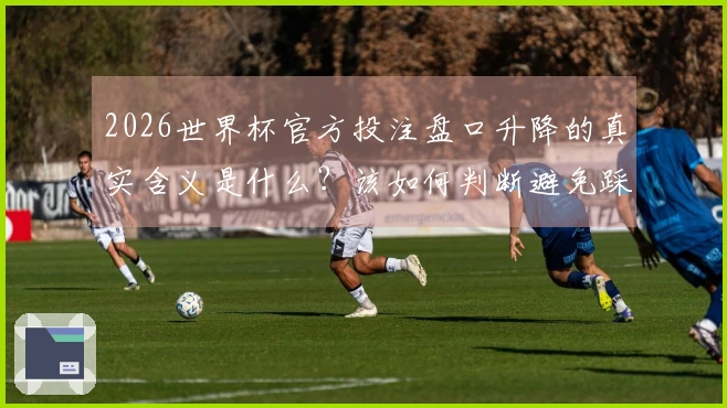 2026世界杯官方投注盘口升降的真实含义是什么？该如何判断避免踩雷？