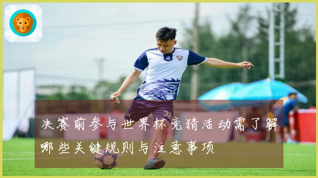 决赛前参与世界杯竞猜活动需了解哪些关键规则与注意事项