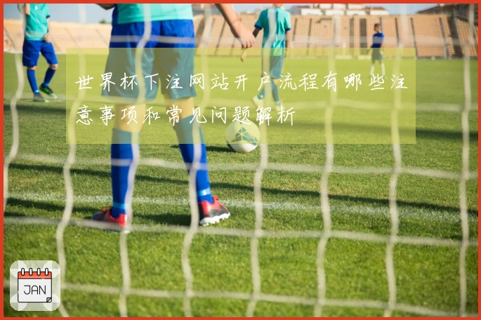 世界杯下注网站开户流程有哪些注意事项和常见问题解析