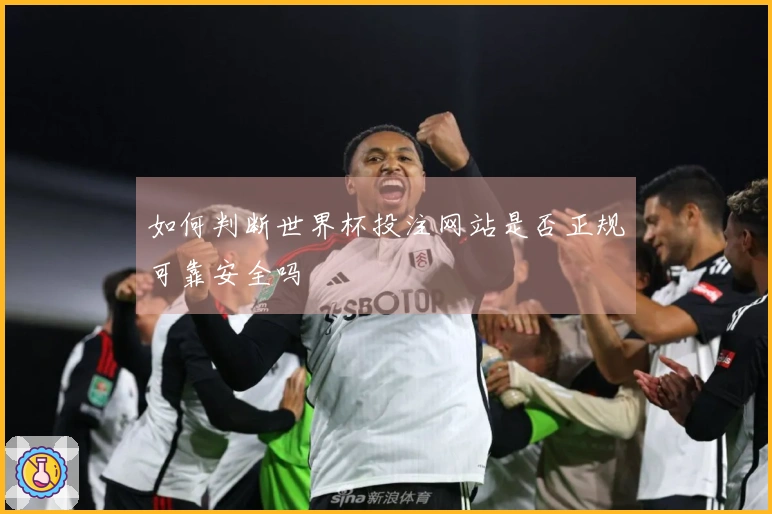 如何判断世界杯投注网站是否正规可靠安全吗