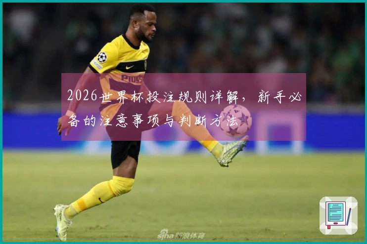 2026世界杯投注规则详解，新手必备的注意事项与判断方法