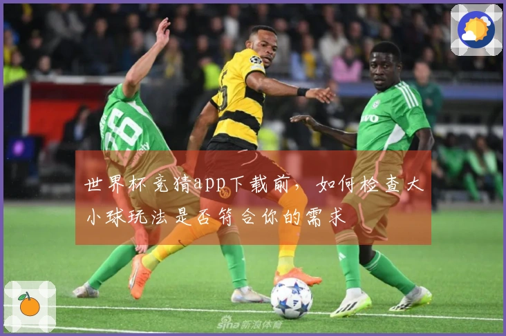 世界杯竞猜app下载前，如何检查大小球玩法是否符合你的需求