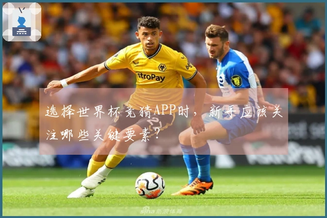 选择世界杯竞猜APP时，新手应该关注哪些关键要素？