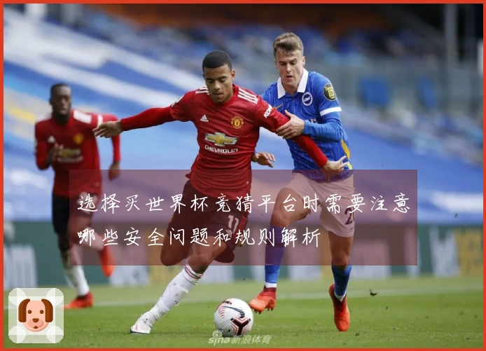 选择买世界杯竞猜平台时需要注意哪些安全问题和规则解析