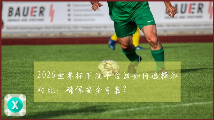 2026世界杯下注平台该如何选择和对比，确保安全可靠？