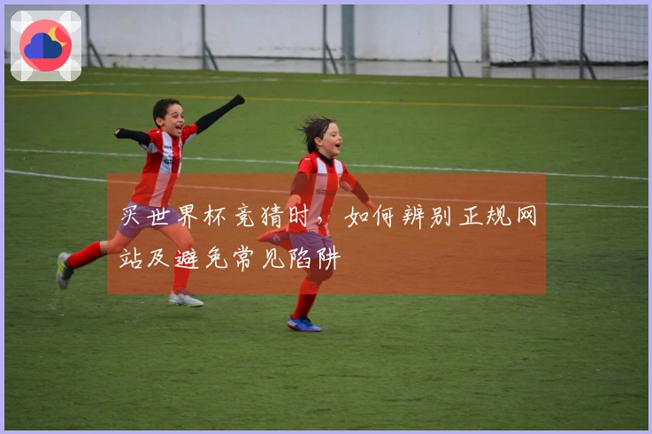 买世界杯竞猜时，如何辨别正规网站及避免常见陷阱