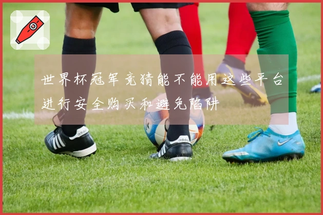 世界杯冠军竞猜能不能用这些平台进行安全购买和避免陷阱