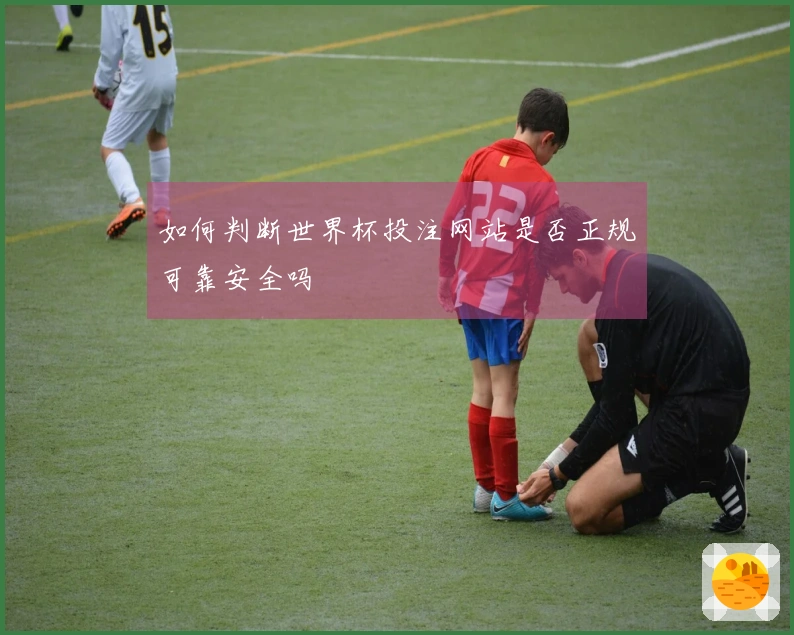如何判断世界杯投注网站是否正规可靠安全吗