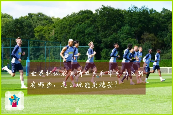 世界杯体彩竞猜单关和串关的区别有哪些，怎么玩能更稳妥？