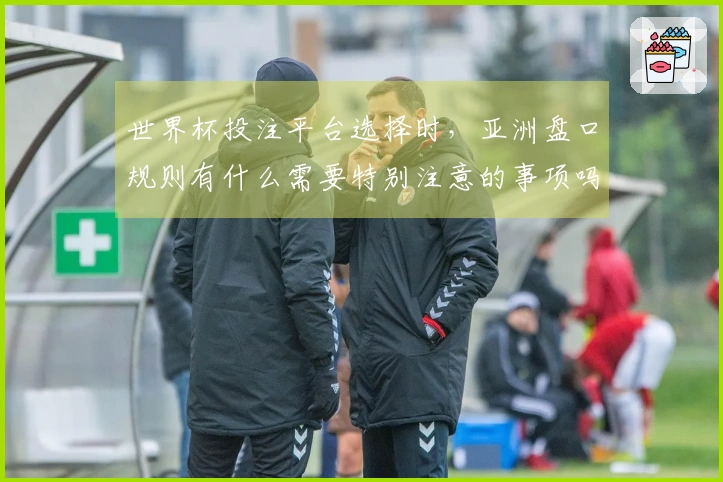 世界杯投注平台选择时，亚洲盘口规则有什么需要特别注意的事项吗？