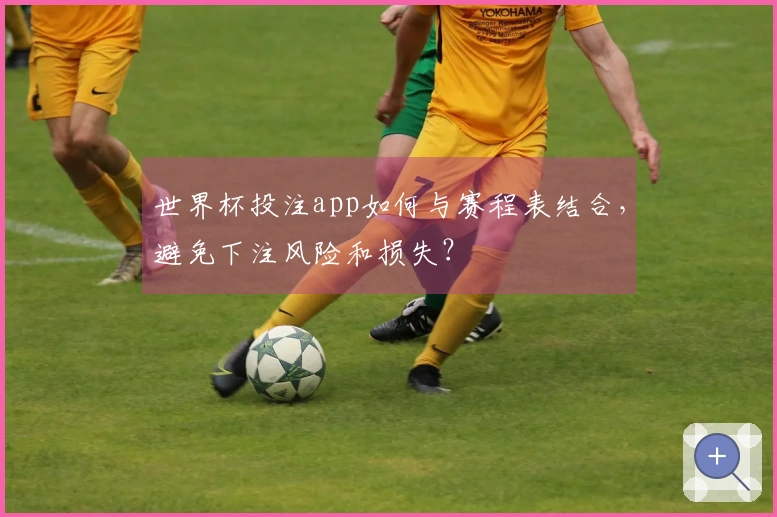 世界杯投注app如何与赛程表结合，避免下注风险和损失？