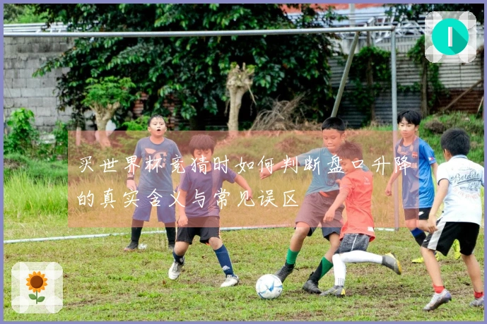 买世界杯竞猜时如何判断盘口升降的真实含义与常见误区